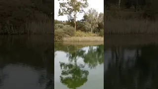 Man-made Lake / South Australia