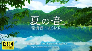[Environmental sounds/ASMR] Japanese summer sounds/BGM for work/study/sleep/space.