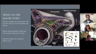 Exploring Care Options and Trial Opportunities for Minimal Change Disease and FSGS Patients