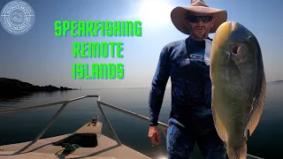 Spearfishing Remote Islands In Western Australia - Bluebone,Coral Trout,Mangrove Jack, hungry Sharks