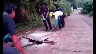 Thai rescue team and python in Phuket