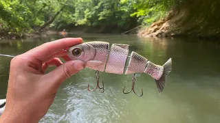 Bull Shad Swimbait Catches GIANT River Bass!! (New PB!!)