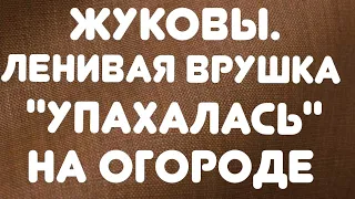 Жуковы// Ленивая врушка "упахалась" на огороде// Обзор видео