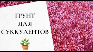 Как я выбираю грунт своим суккулентам?