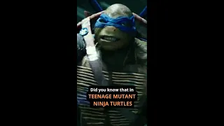 Did YOU Know That In - TEENAGE MUTANT NINJA TURTLES