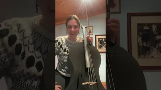 Natalie Haas - Cello jam on Forte3D