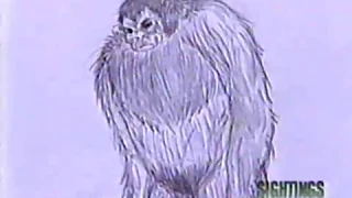 SIGHTINGS - In The News: Chinese Bigfoot (Yeren)