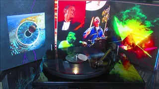 01 Pink Floyd Shine On You Crazy Diamond PULSE New Vinyl Edition