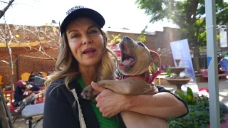 The Homeless Pets Of Skid Row