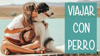 🐶 VIAJAR con PERRO en FURGONETA CAMPER 🚐 | #6 Norte de España 2021 [PARTE 2]