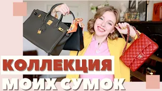 МОЯ КОЛЛЕКЦИЯ ИЗ 30 СУМОК  | HERMES | CHANEL | CELINE | ЛЮКСОВЫЕ БАЗОВЫЕ СУМКИ | DARYA KAMALOVA