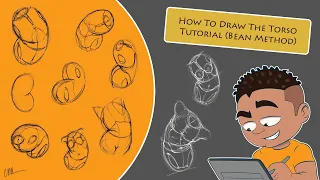 How To Draw The Torso Tutorial (Bean Method)| Using Simple Shapes