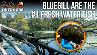 #1 Fresh Water Fish | Bill Dance Outdoors