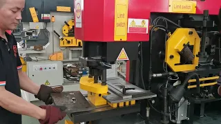 Q35Y Series Hydraulic Iron Worker Angle Metal Cutting Machine Punching and shearing machine