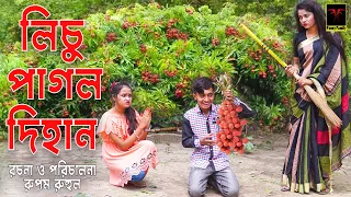 Licu Pagol Dihan ll লিচু পাগল দিহান ll Dihan ll Afsana ll Rayna ll Bangla New Natok