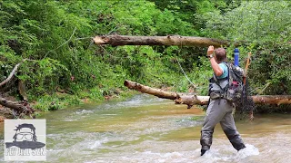 Fly Fishing Missouri | "Home Waters"