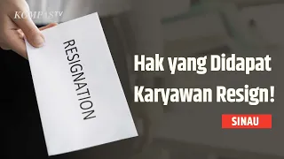 Ini lho Syarat dan Hak bagi Karyawan yang Resign | SINAU