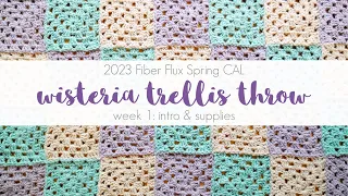 2023 Spring CAL Week 1: Wisteria Trellis Throw