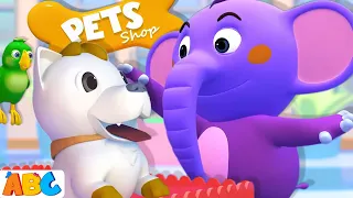 Pet Animal Song | Sing along | Nursery Rhymes and Songs for Kids | Animals for Kids