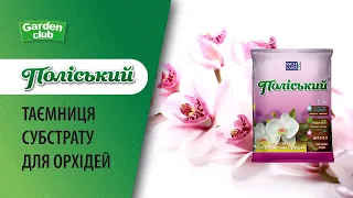 Улюблений субстрат орхідей -Поліський. ТАЄМНИЦЯ ЯКІСНОГО СУБСТРАТУ ДЛЯ ОРХІДЕЙ. Орхідея - догляд.