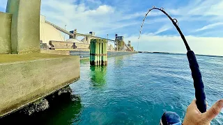 POWERFUL STUFF - NC Bridge Fishing