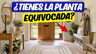 COMO DECORAR con PLANTAS para MEJORAR el AMBIENTE en CASA / INTERIORISMO