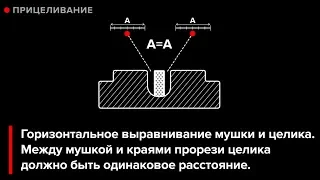 Art of Shooting. Прицеливание