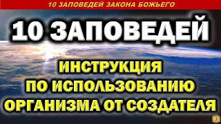 10 Заповедей. Инструкция по использованию организма от Создателя.