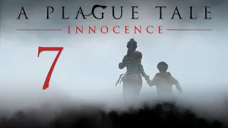 A Plague Tale: Innocence - Прохождение игры на русском - Глава 7 - Тропа идёт вперёд [#7] | PC