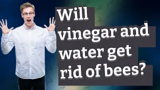 Will vinegar and water get rid of bees?