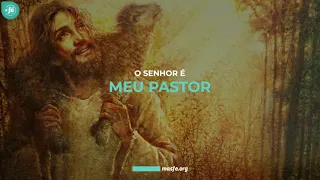 Por que os pastores da Bíblia ungiam as ovelhas com óleo? - Salmos 23