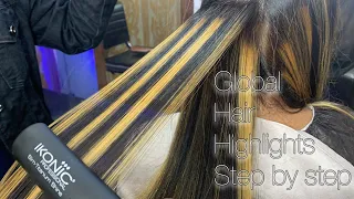 Global hair colour highlights step by step in Hindi | light blonde hair colour | full process