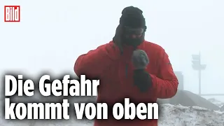 BILD-Reporter im Sturm: Fichten werden zur Gefahr | Brocken, Harz