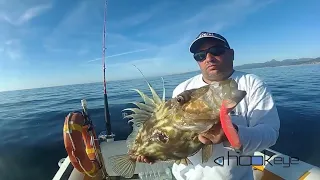 PESCA IN VERTICALE CON LE GOMME! Immagini subacquee: cernie, San Pietro | Pesca Dalla Barca TV