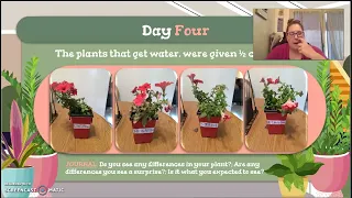 2nd Grade Lesson on Plants: NGSS: 2-LS2-1