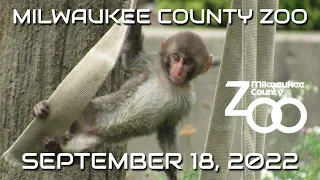 Milwaukee County Zoo | September 18, 2022