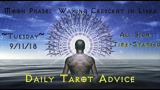 9/11/18 Daily Tarot Advice ~ All Signs, Time-stamped