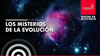 Noche de Misterio | Los misterios de la evolución