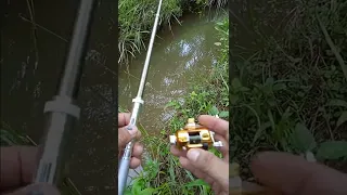 PANCING PULPEN || PEN FISHING ( cocok buat mancing ikan di parit)