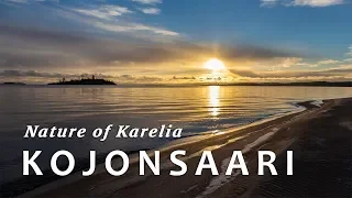 Природа Карелии - о. Койонсаари 🔹 Nature of Karelia - KOJONSAARI