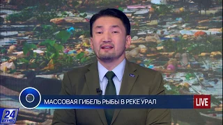 Массовая гибель рыбы в реке Урал - Круглый стол с Рахимом Ошакбаевым