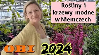 Jakie rośliny  ogrodowe i krzewy znajdziecie w niemieckich ogrodach? Modne i Nowe #plants#obi#haul#