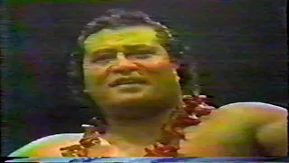WWWF Wrestling TV 70's # 3