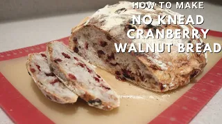 No Knead Cranberry Walnut Bread