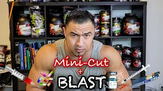 2 Wochen Minicut + Blast für knüppelhärte! So könnte es aussehen