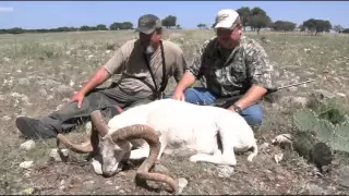 Texas Hill Country Exotics - The High Road