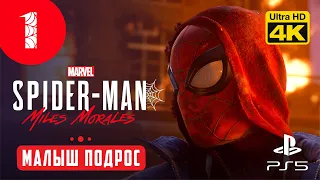 ДОСТОЙНАЯ ЗАМЕНА ▷ Marvel's Spider-Man: Miles Morales ✦ PS5 [4K 60 fps] - Прохождение #1