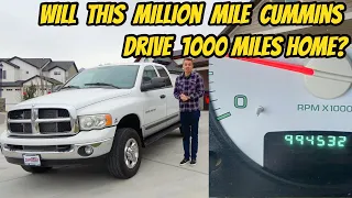 Buying a Dodge Ram Cummins Diesel with nearly 1 MILLION MILES, and driving 1000 miles home!