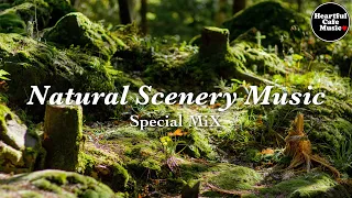 Natural Scenery Music Special Mix【For Work / Study】Restaurants BGM, Lounge Music, shop BGM