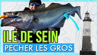 je PECHE des LIEUS RECORDS à l'île de Sein ... Énorme, quel bonheur 🎣🐟💪